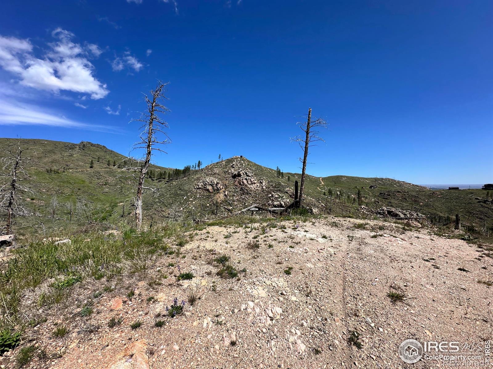 100 Canyon Gulch Road Bellvue CO 80512