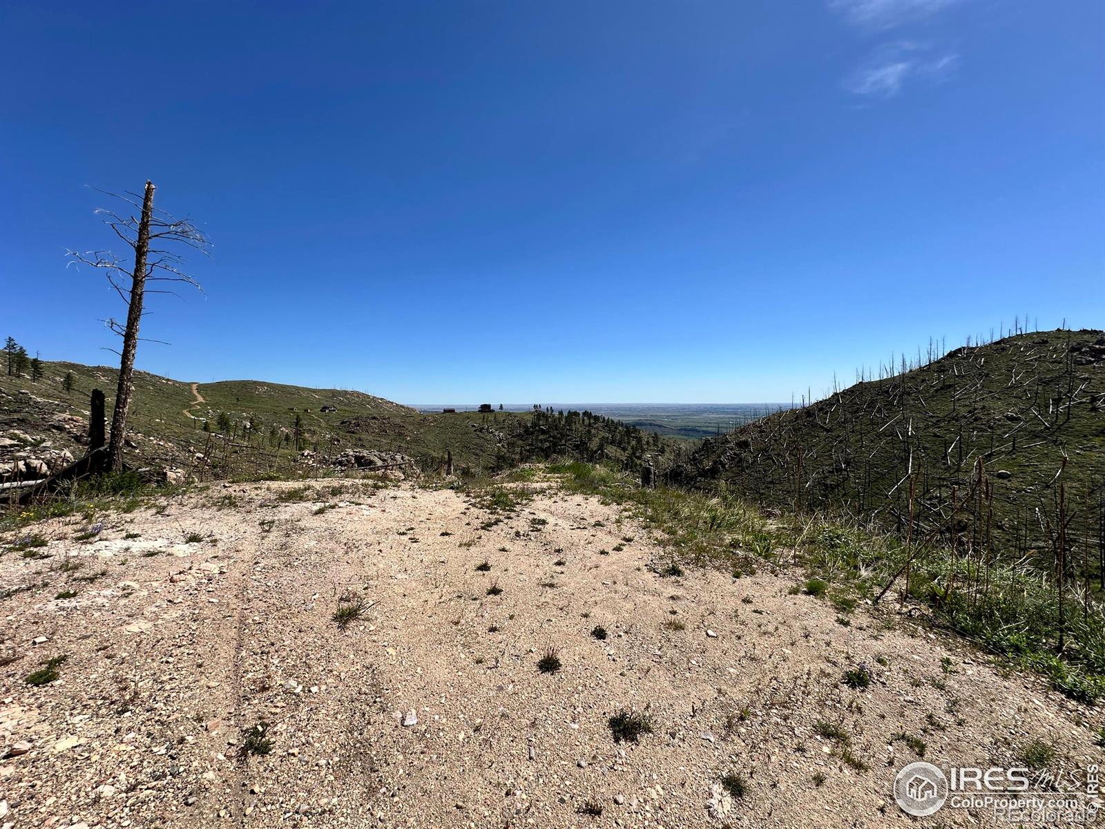 100 Canyon Gulch Road Bellvue CO 80512