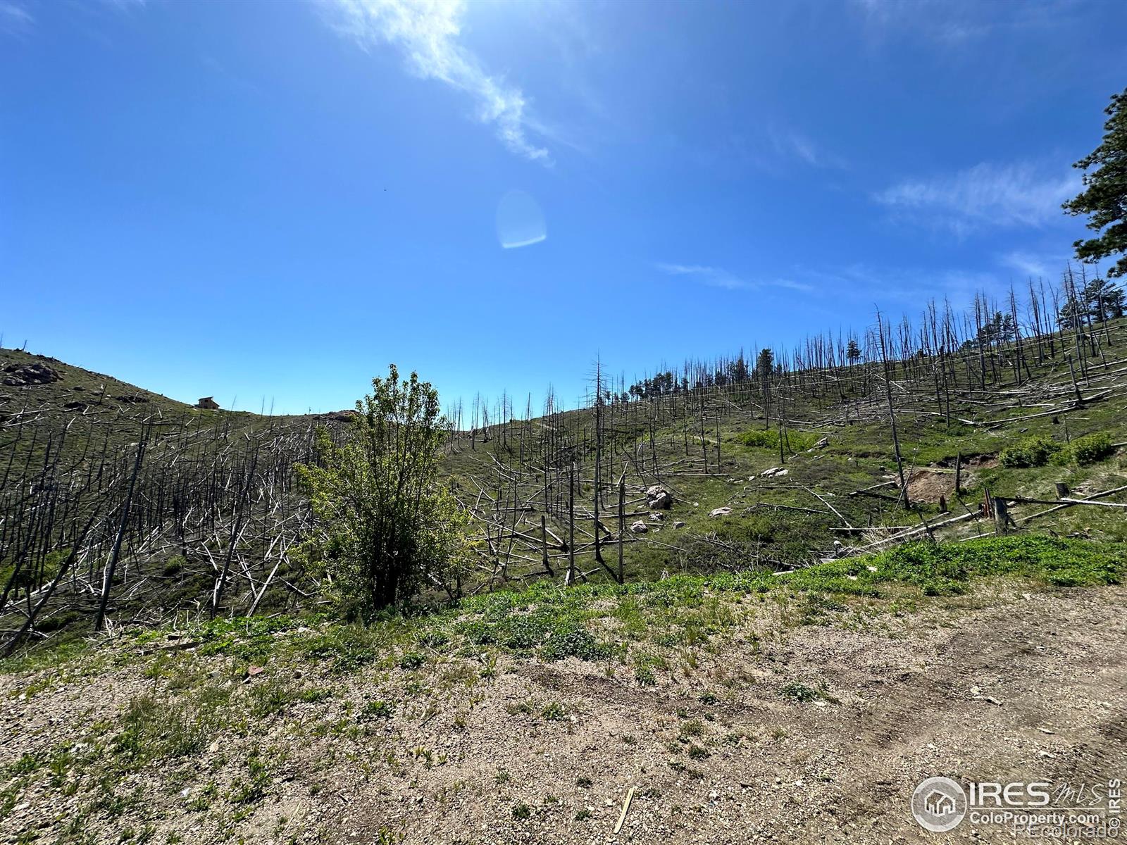 100 Canyon Gulch Road Bellvue CO 80512