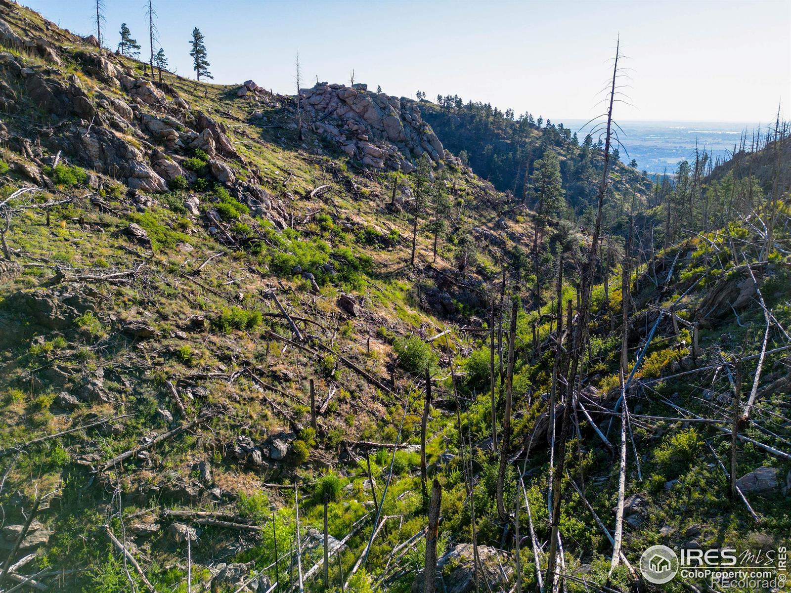 100 Canyon Gulch Road Bellvue CO 80512