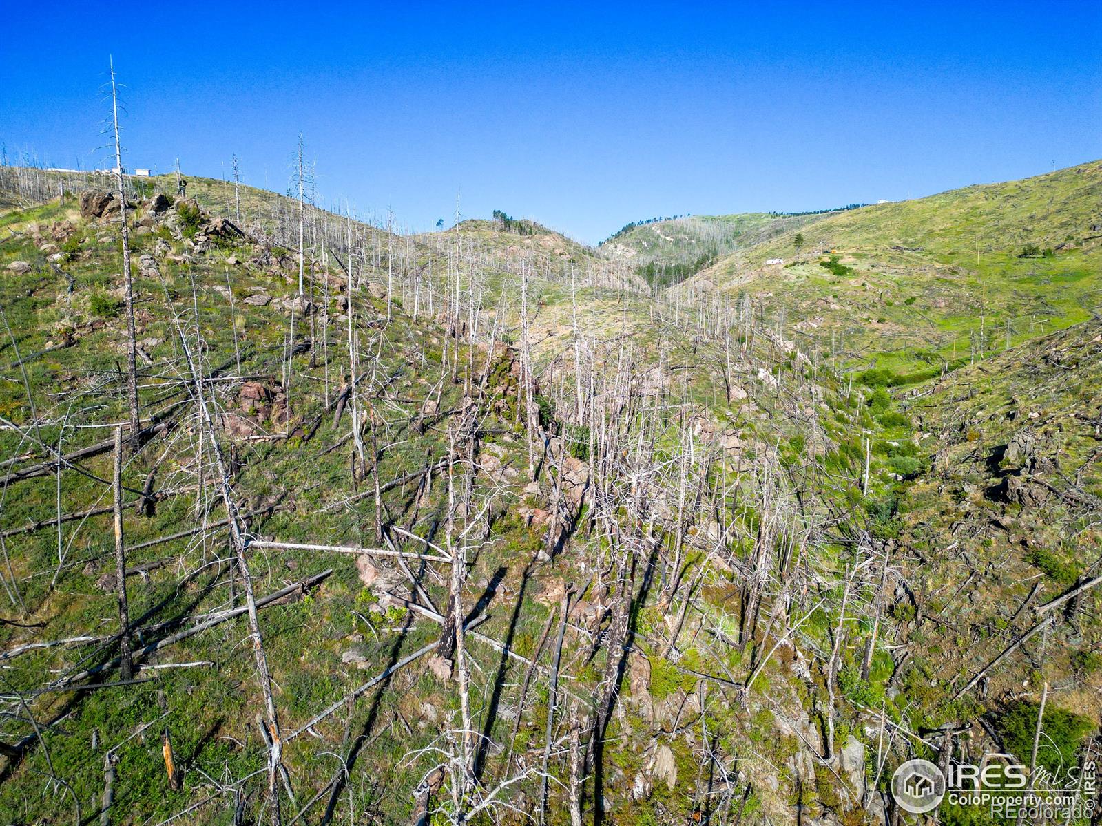 100 Canyon Gulch Road Bellvue CO 80512