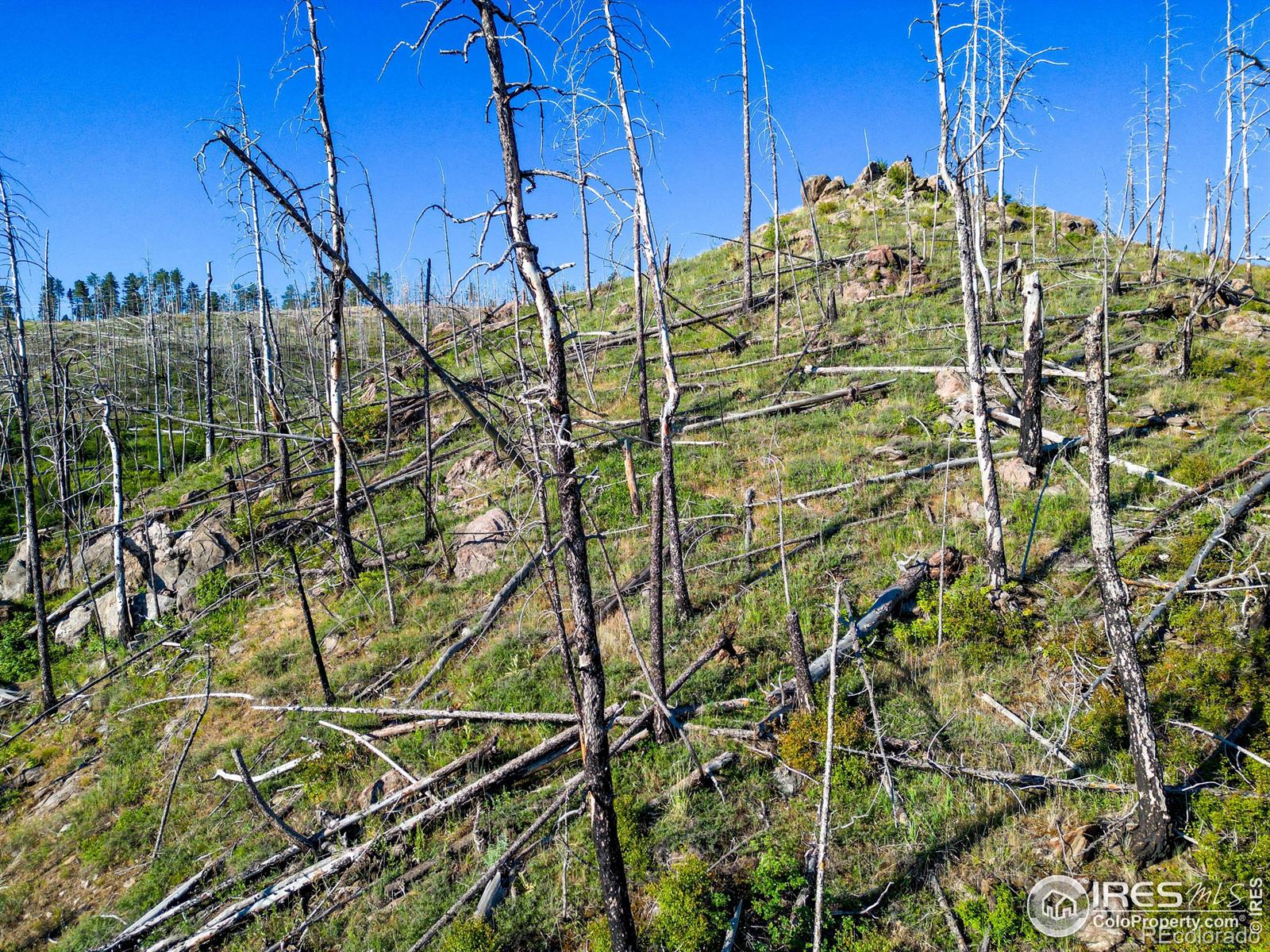 100 Canyon Gulch Road Bellvue CO 80512