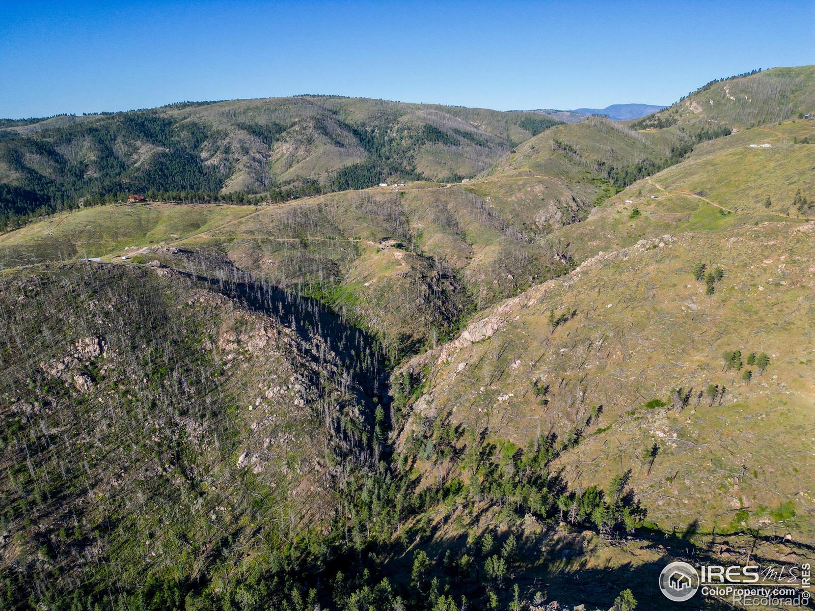 100 Canyon Gulch Road Bellvue CO 80512