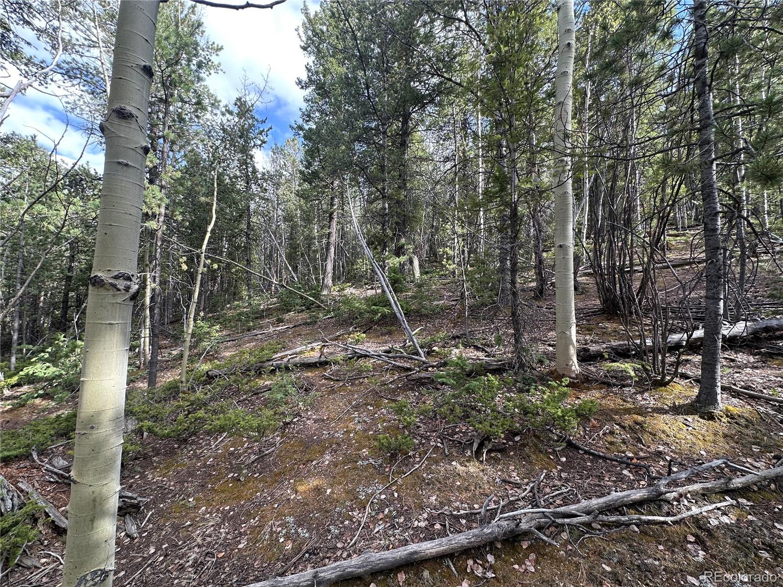 1218 Calcite Drive Divide CO 80814