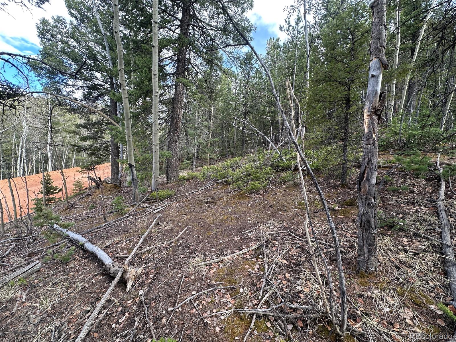 1218 Calcite Drive Divide CO 80814