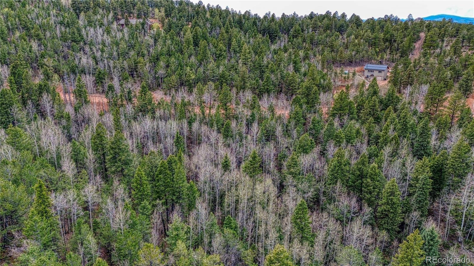 1218 Calcite Drive Divide CO 80814