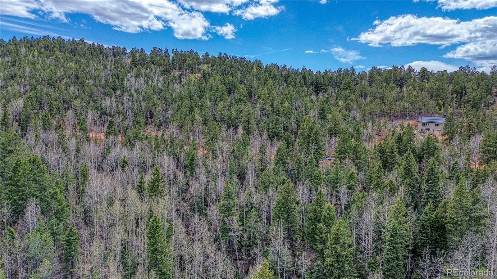 1218 Calcite Drive Divide CO 80814