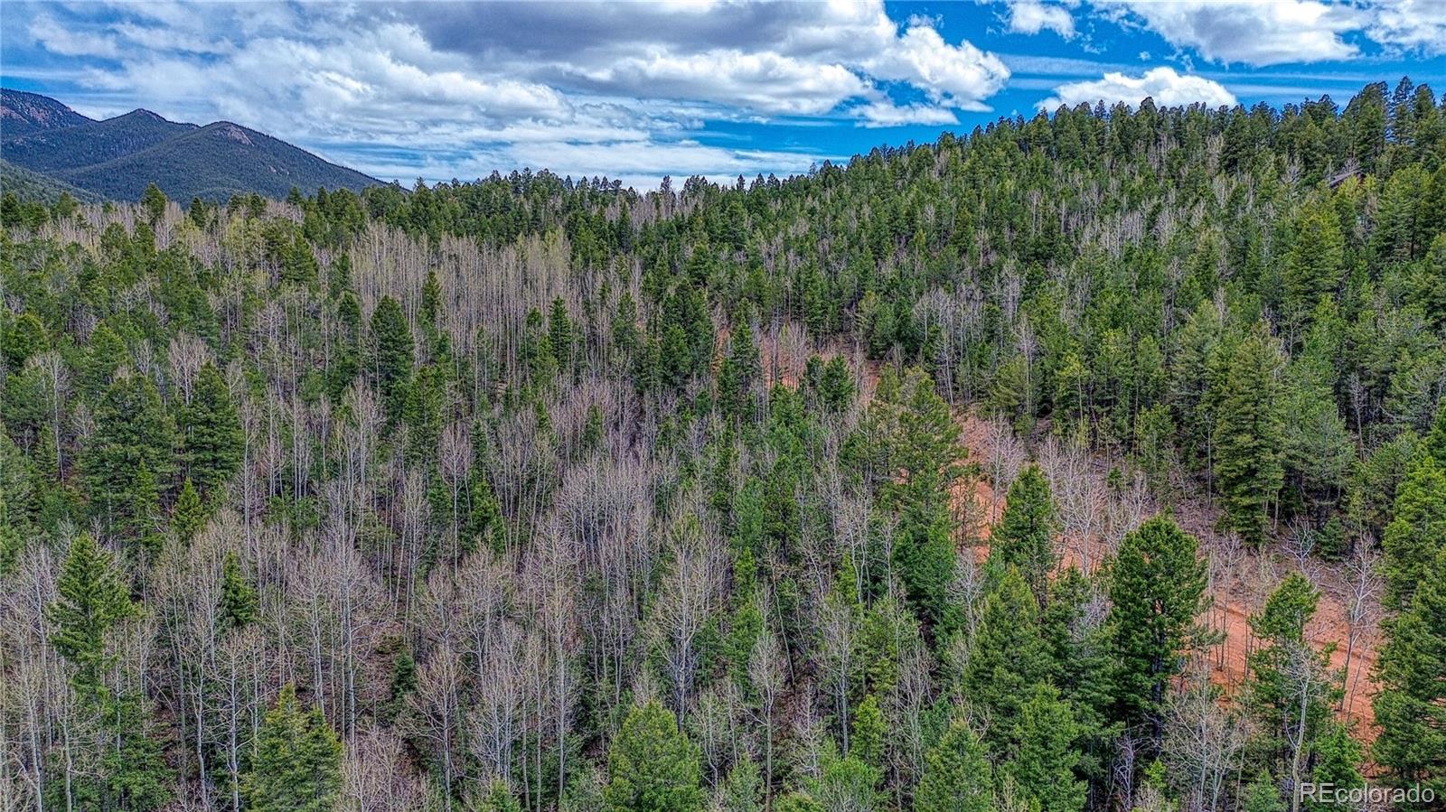 1218 Calcite Drive Divide CO 80814
