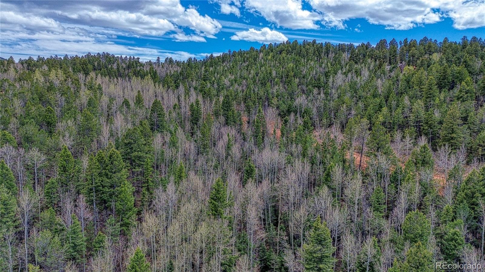 1218 Calcite Drive Divide CO 80814