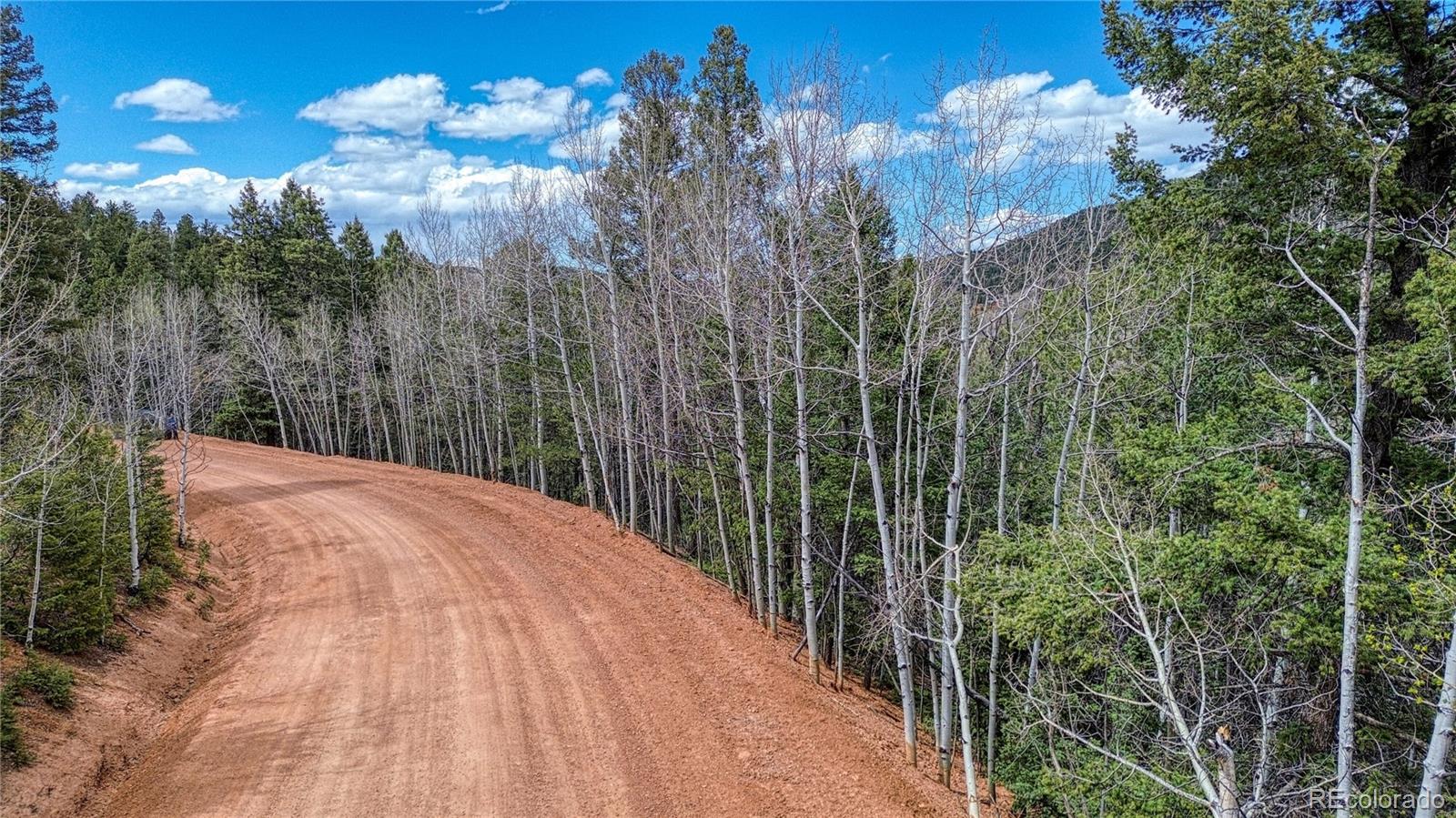 1218 Calcite Drive Divide CO 80814