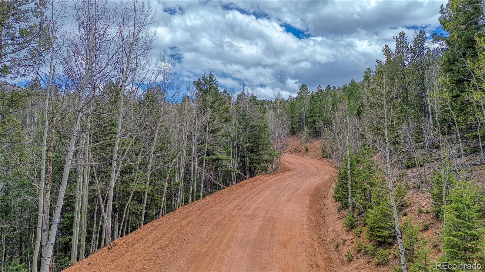 1218 Calcite Drive Divide CO 80814