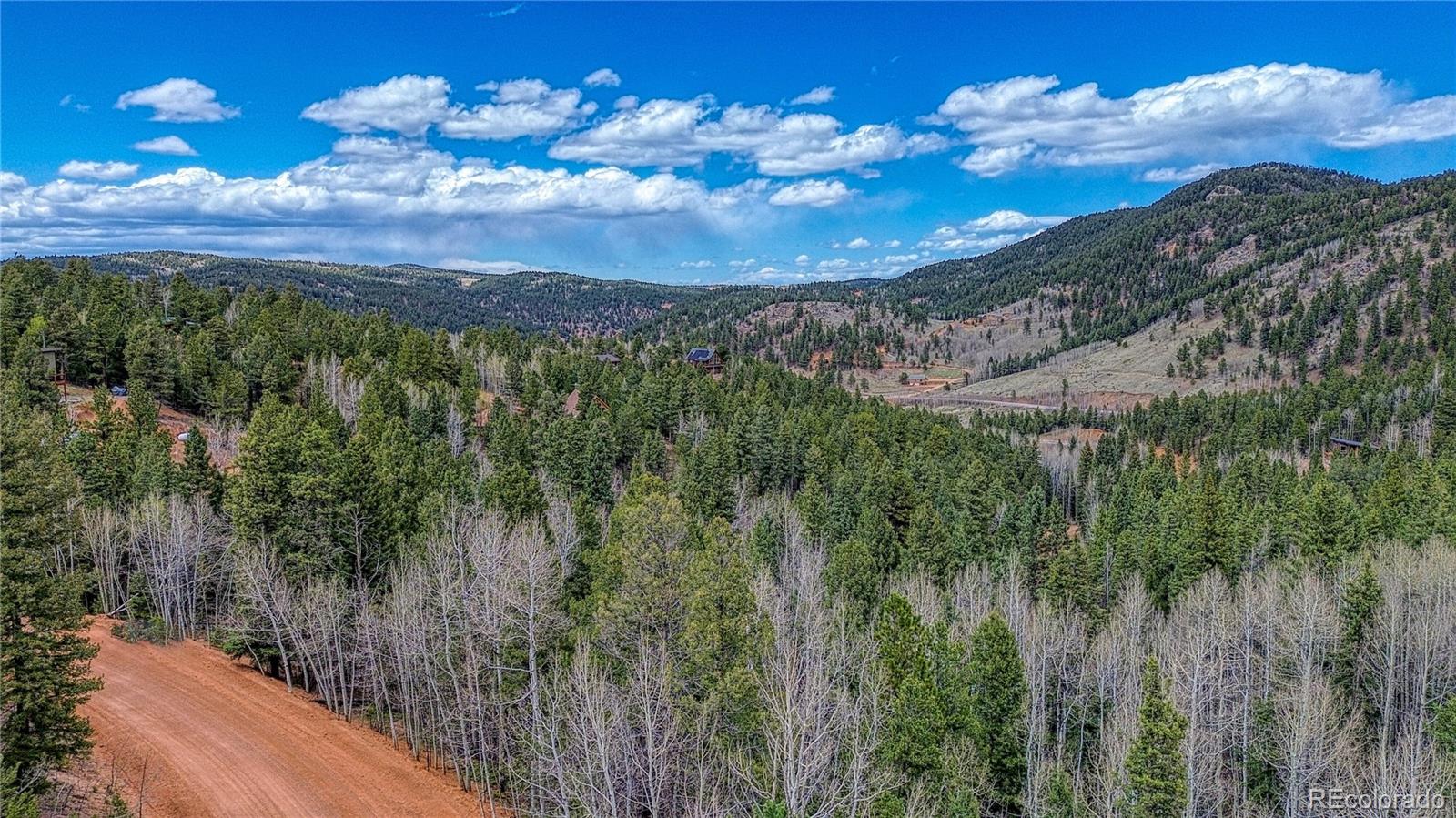 1218 Calcite Drive Divide CO 80814