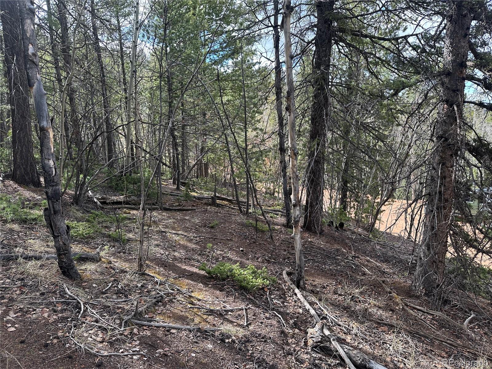 1218 Calcite Drive Divide CO 80814