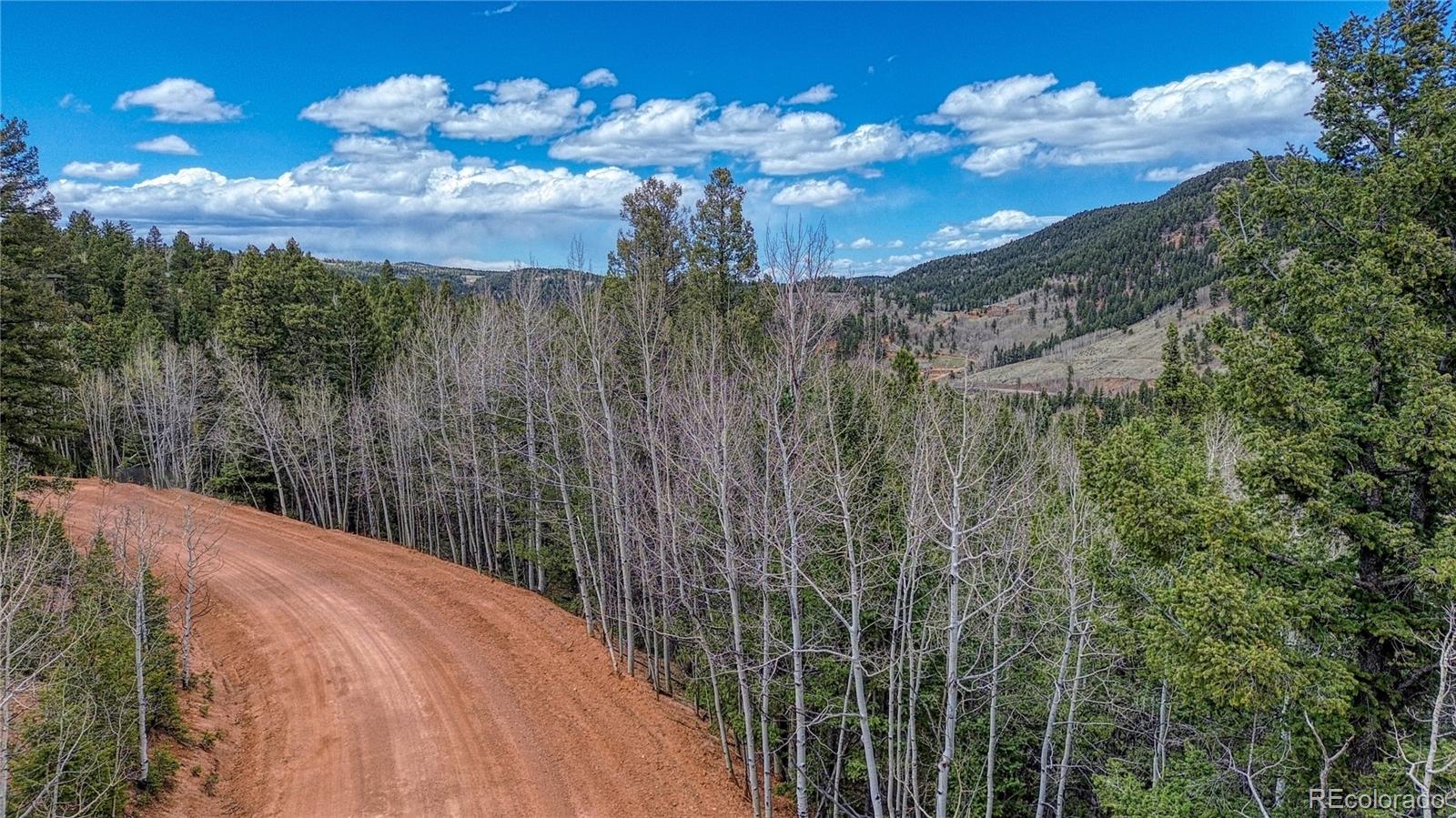 1218 Calcite Drive Divide CO 80814