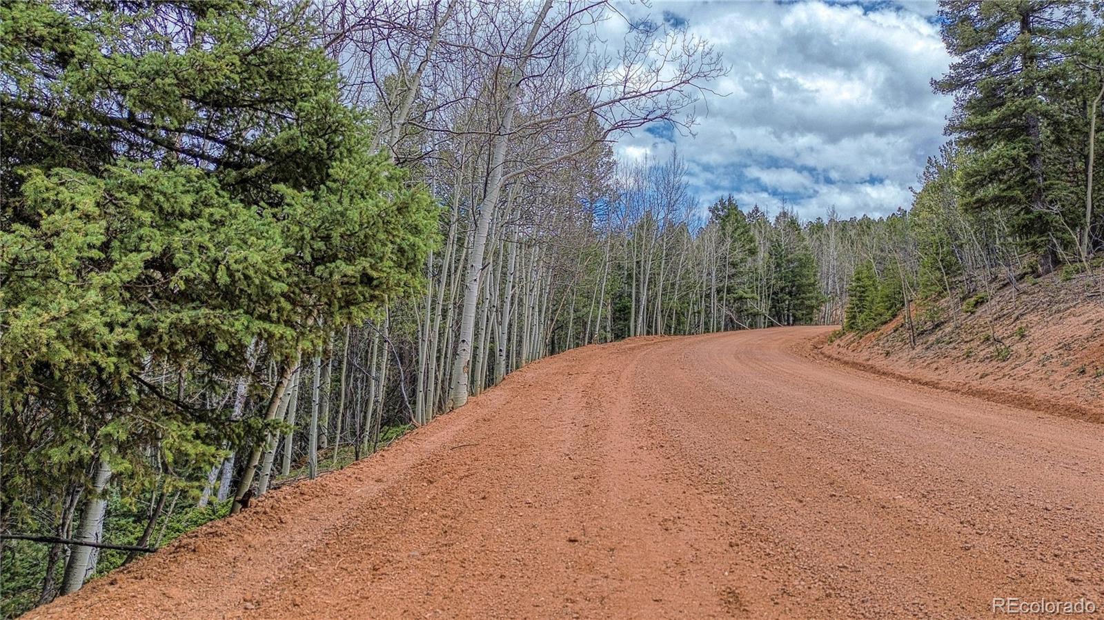 1218 Calcite Drive Divide CO 80814