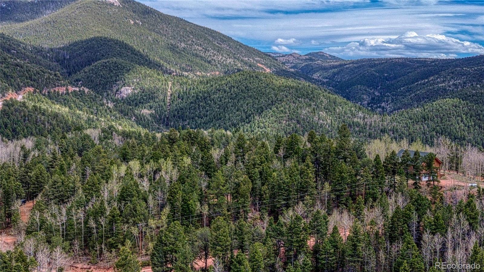 1218 Calcite Drive Divide CO 80814
