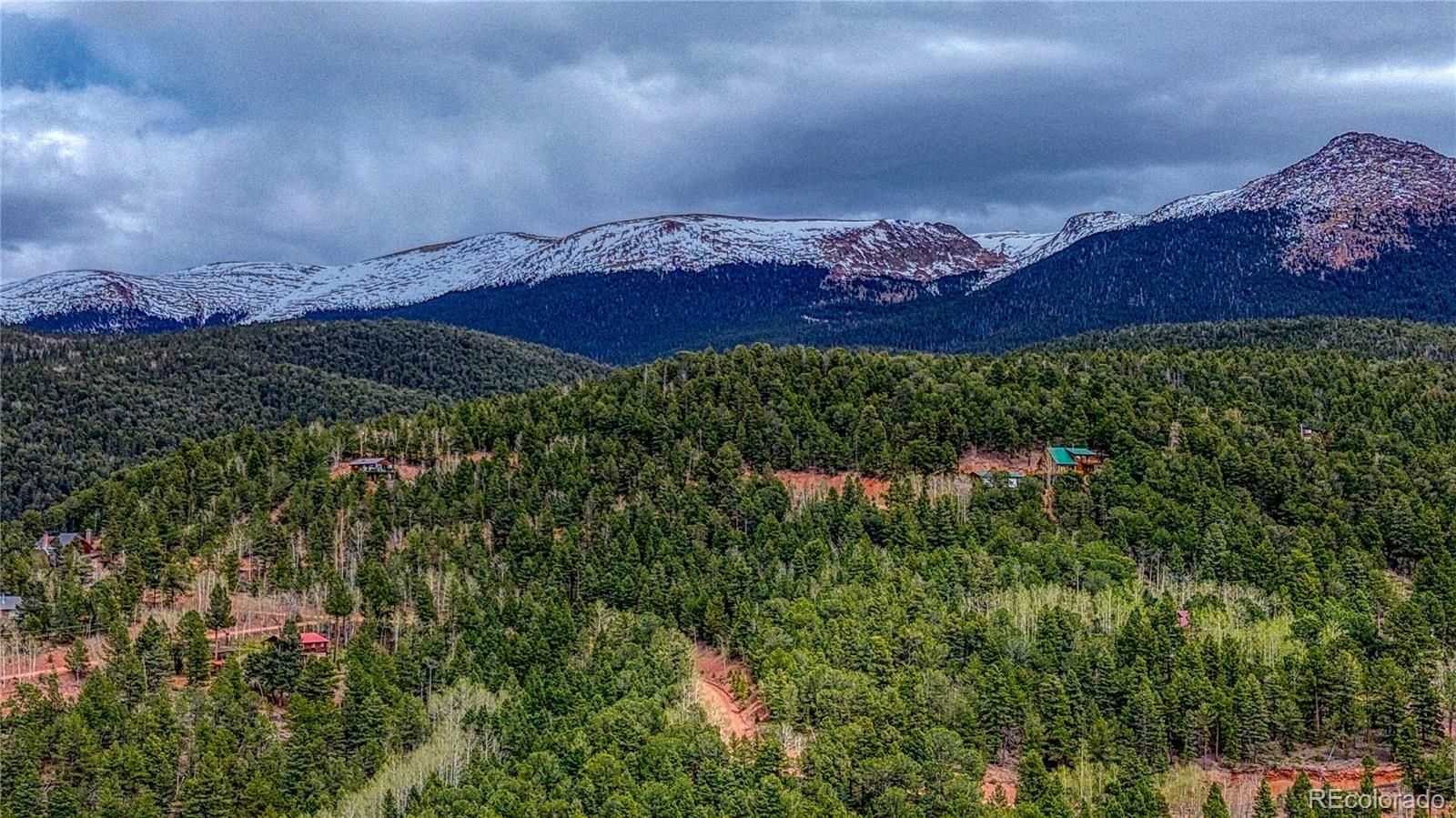 1218 Calcite Drive Divide CO 80814