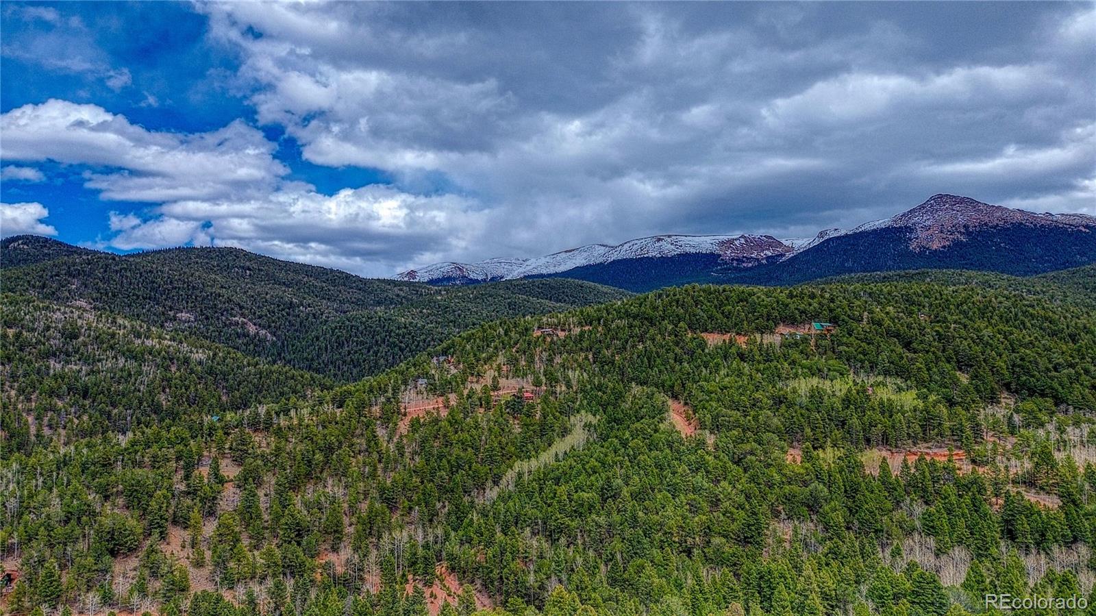 1218 Calcite Drive Divide CO 80814