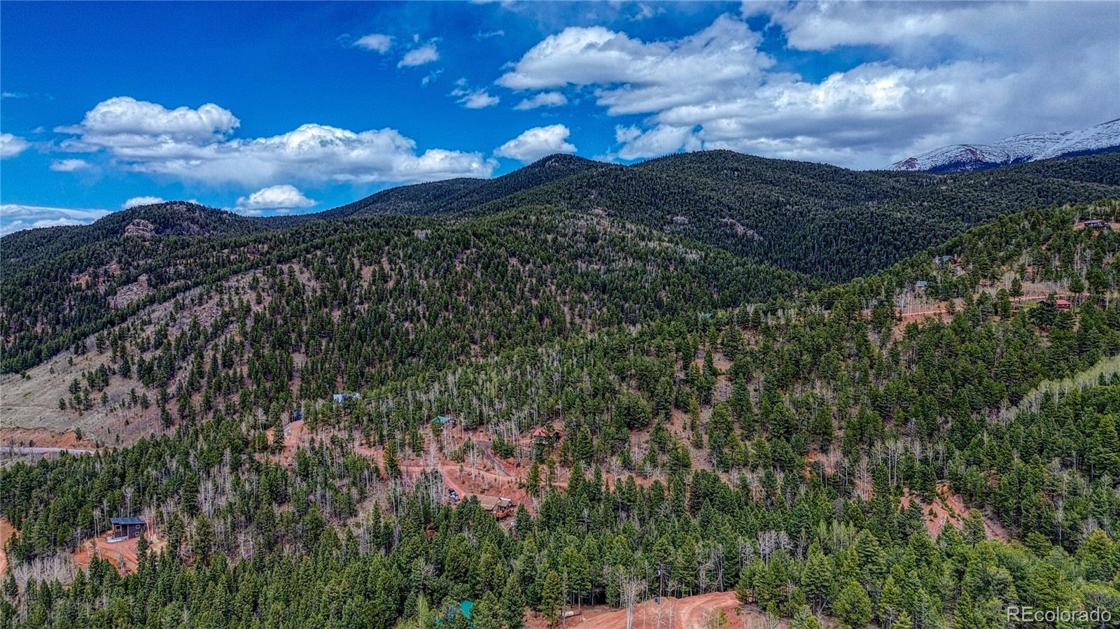 1218 Calcite Drive Divide CO 80814