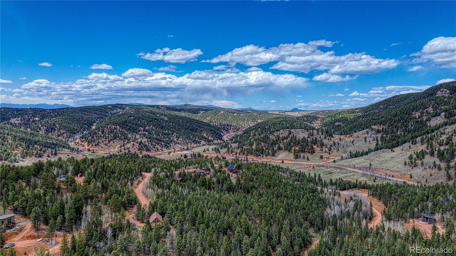 1218 Calcite Drive Divide CO 80814