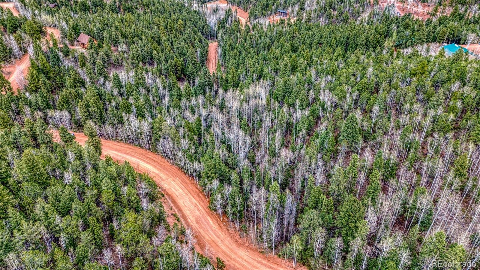 1218 Calcite Drive Divide CO 80814
