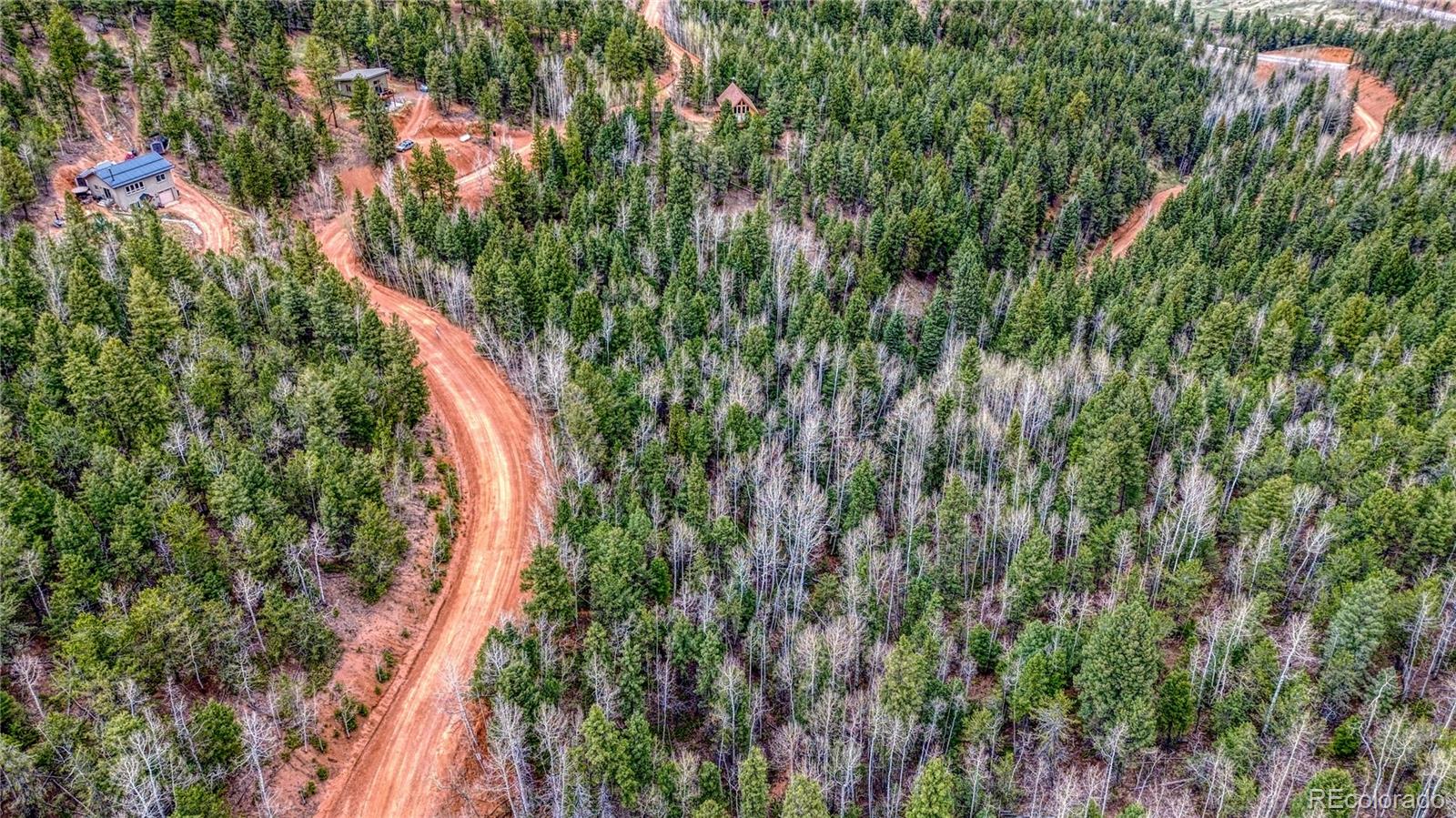 1218 Calcite Drive Divide CO 80814