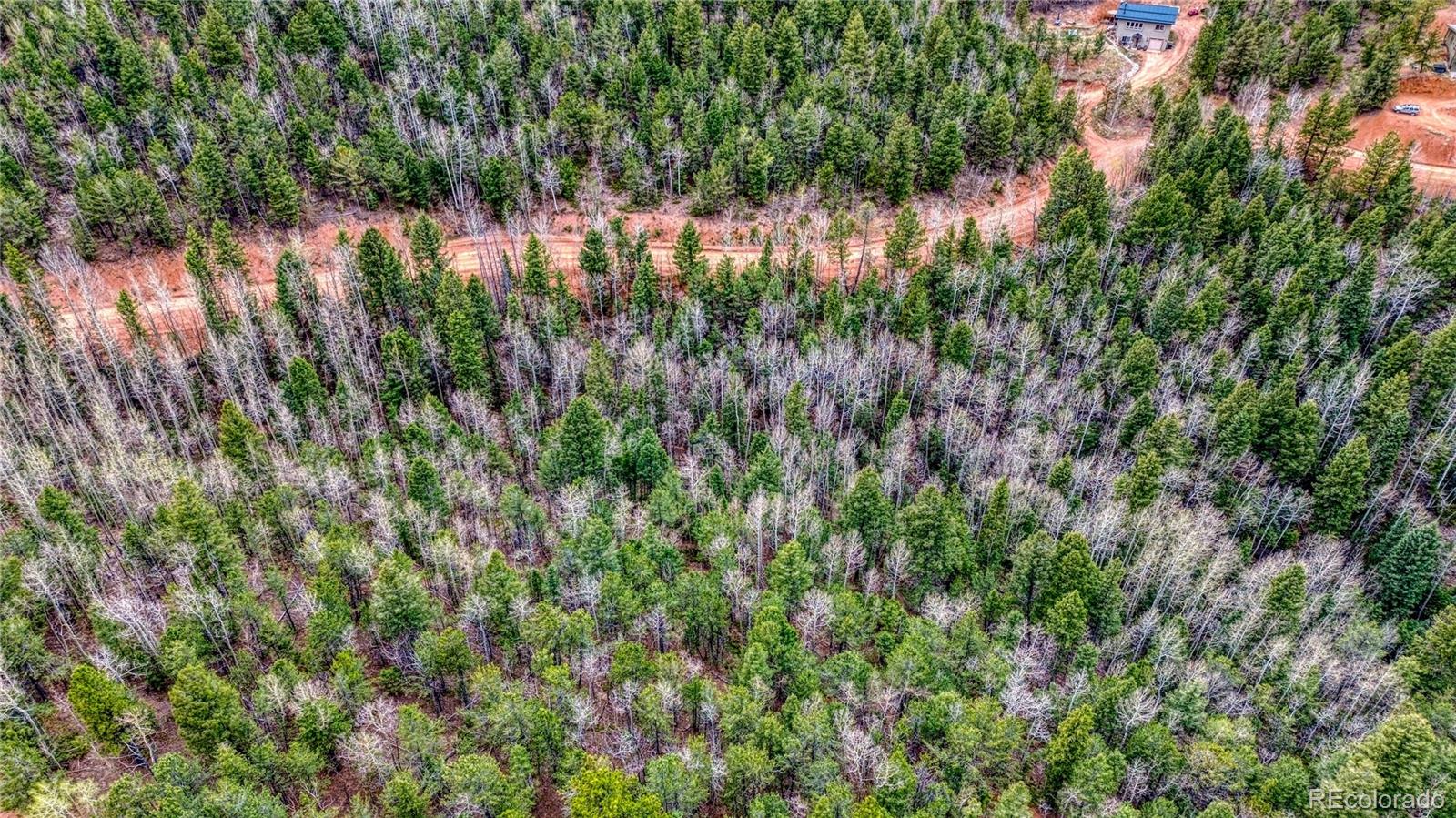 1218 Calcite Drive Divide CO 80814