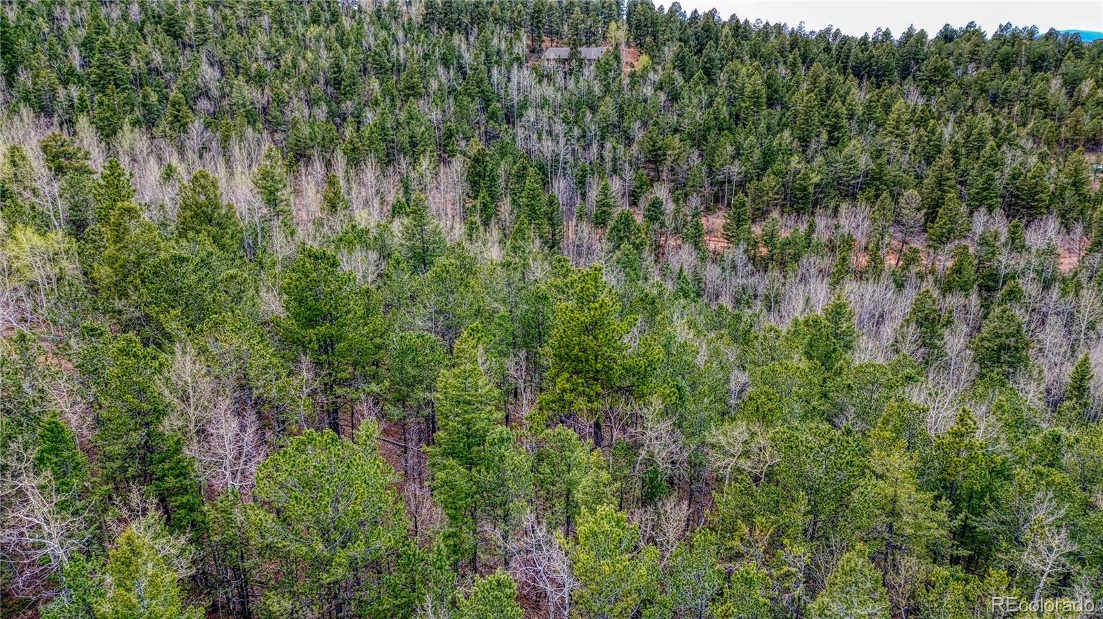 1218 Calcite Drive Divide CO 80814