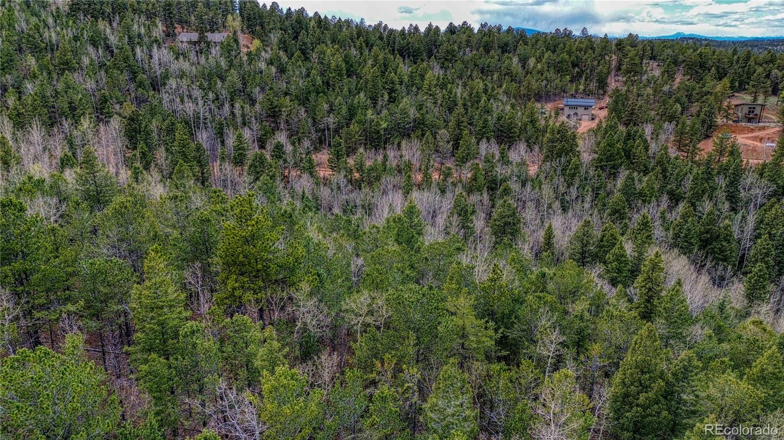 1218 Calcite Drive Divide CO 80814