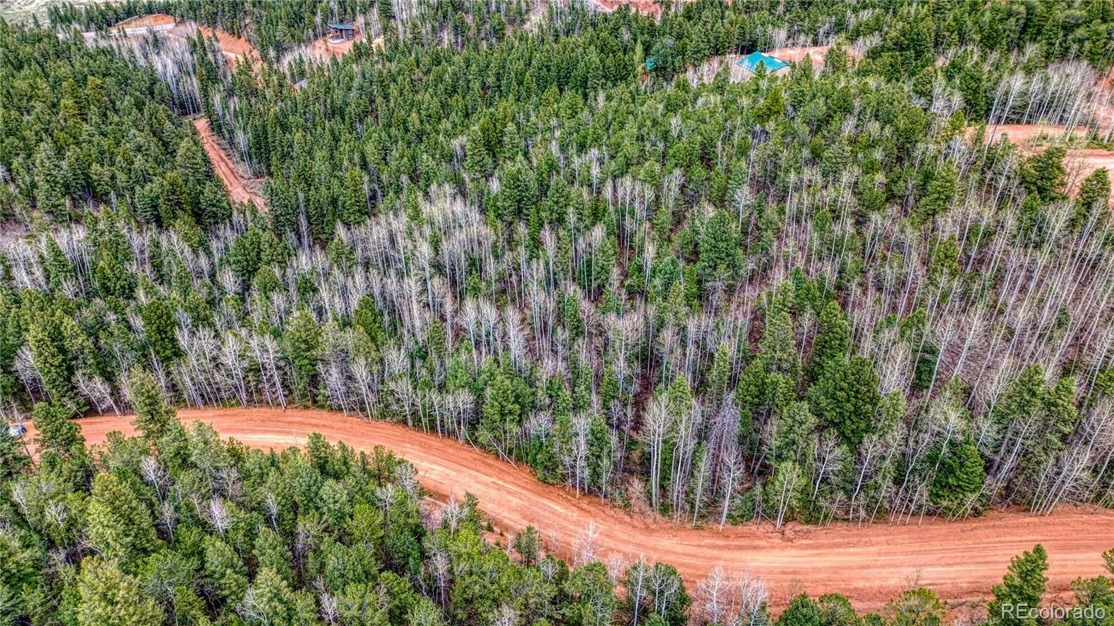 1218 Calcite Drive Divide CO 80814