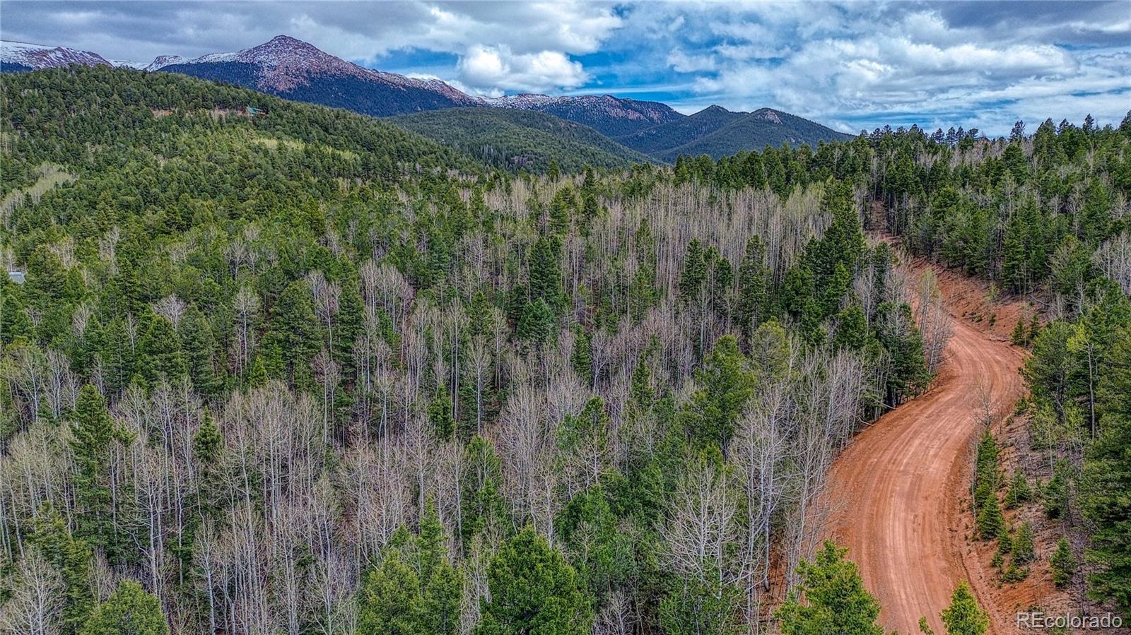 1218 Calcite Drive Divide CO 80814