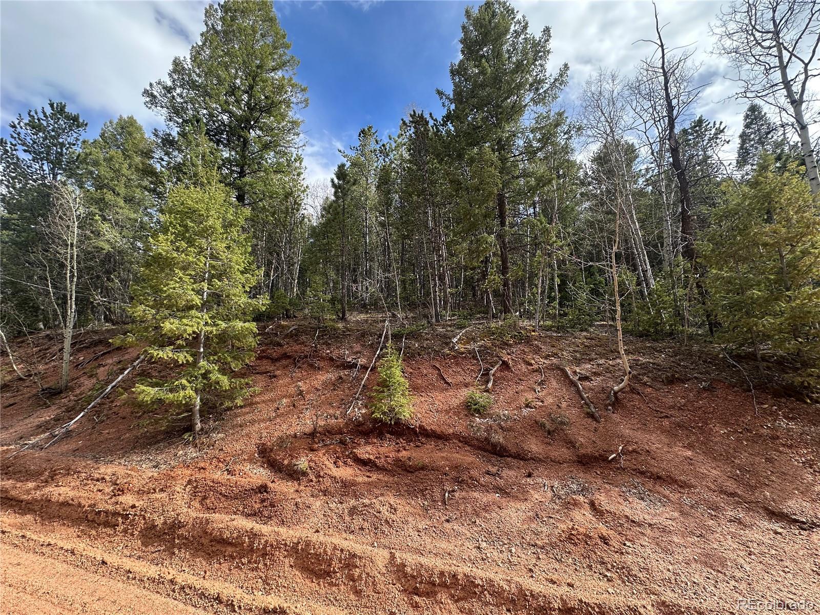 1218 Calcite Drive Divide CO 80814