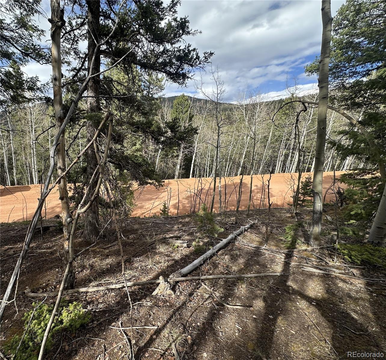 1218 Calcite Drive Divide CO 80814