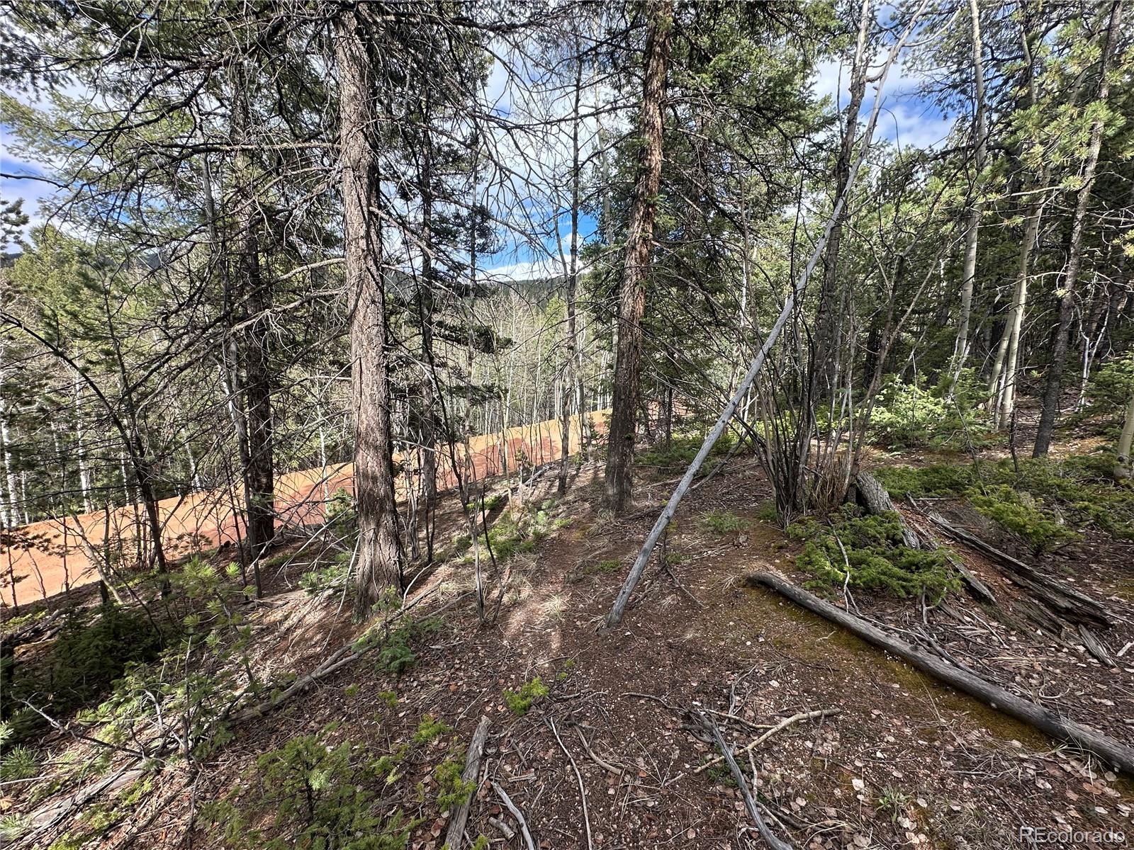 1218 Calcite Drive Divide CO 80814