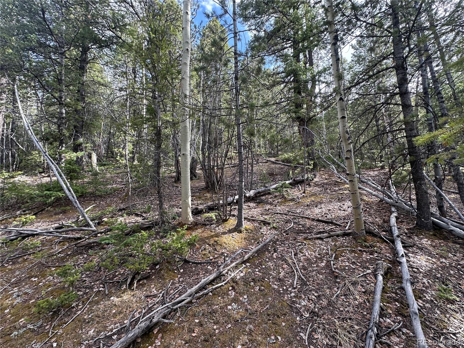 1218 Calcite Drive Divide CO 80814