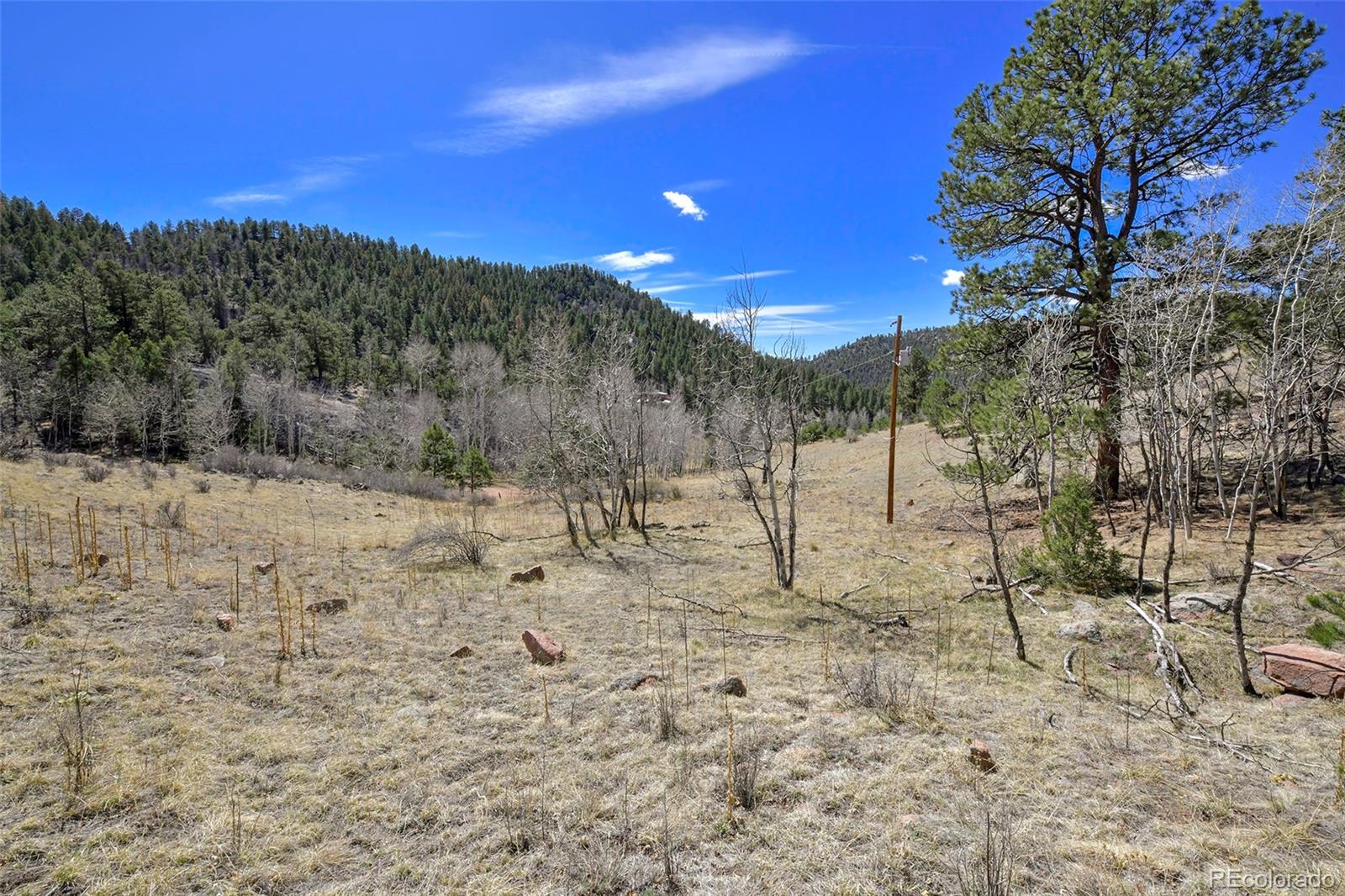 221 Floresta Florissant CO 80816