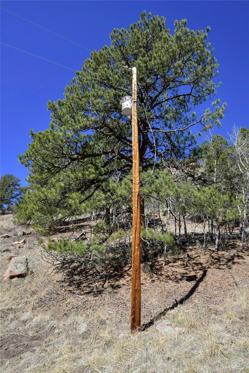 221 Floresta Florissant CO 80816