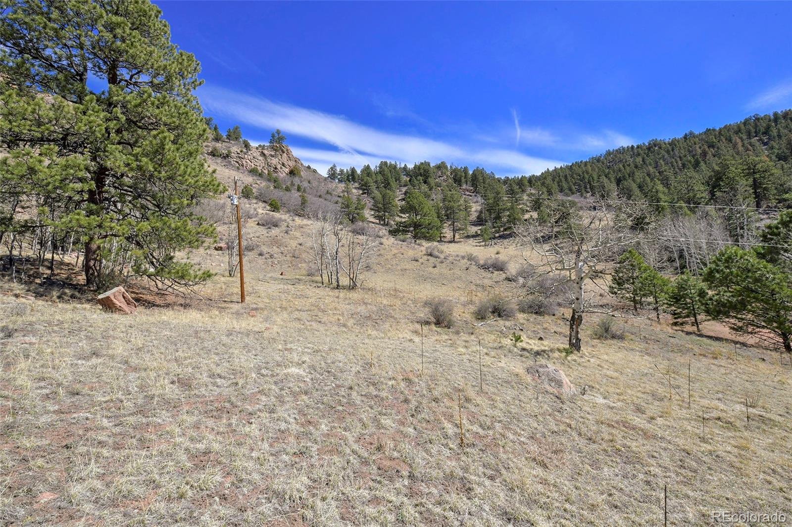221 Floresta Florissant CO 80816