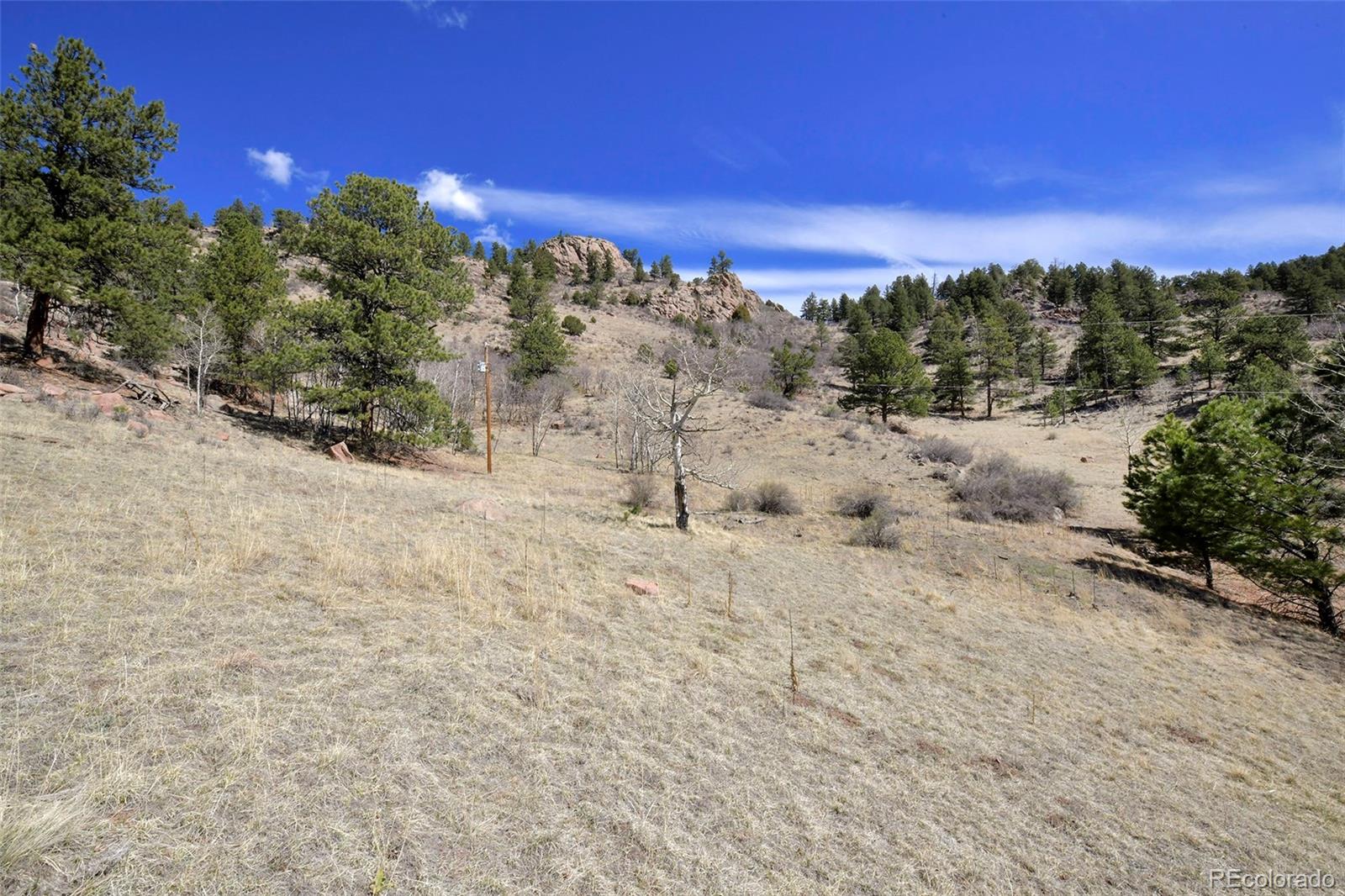 221 Floresta Florissant CO 80816