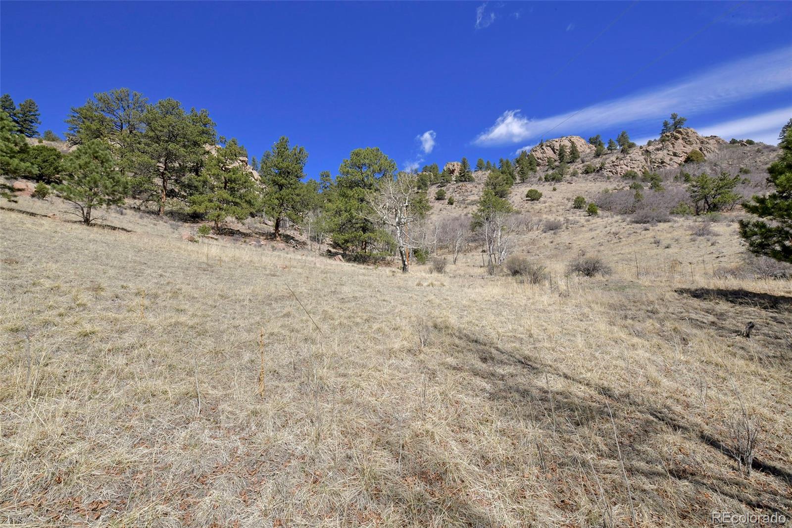 221 Floresta Florissant CO 80816