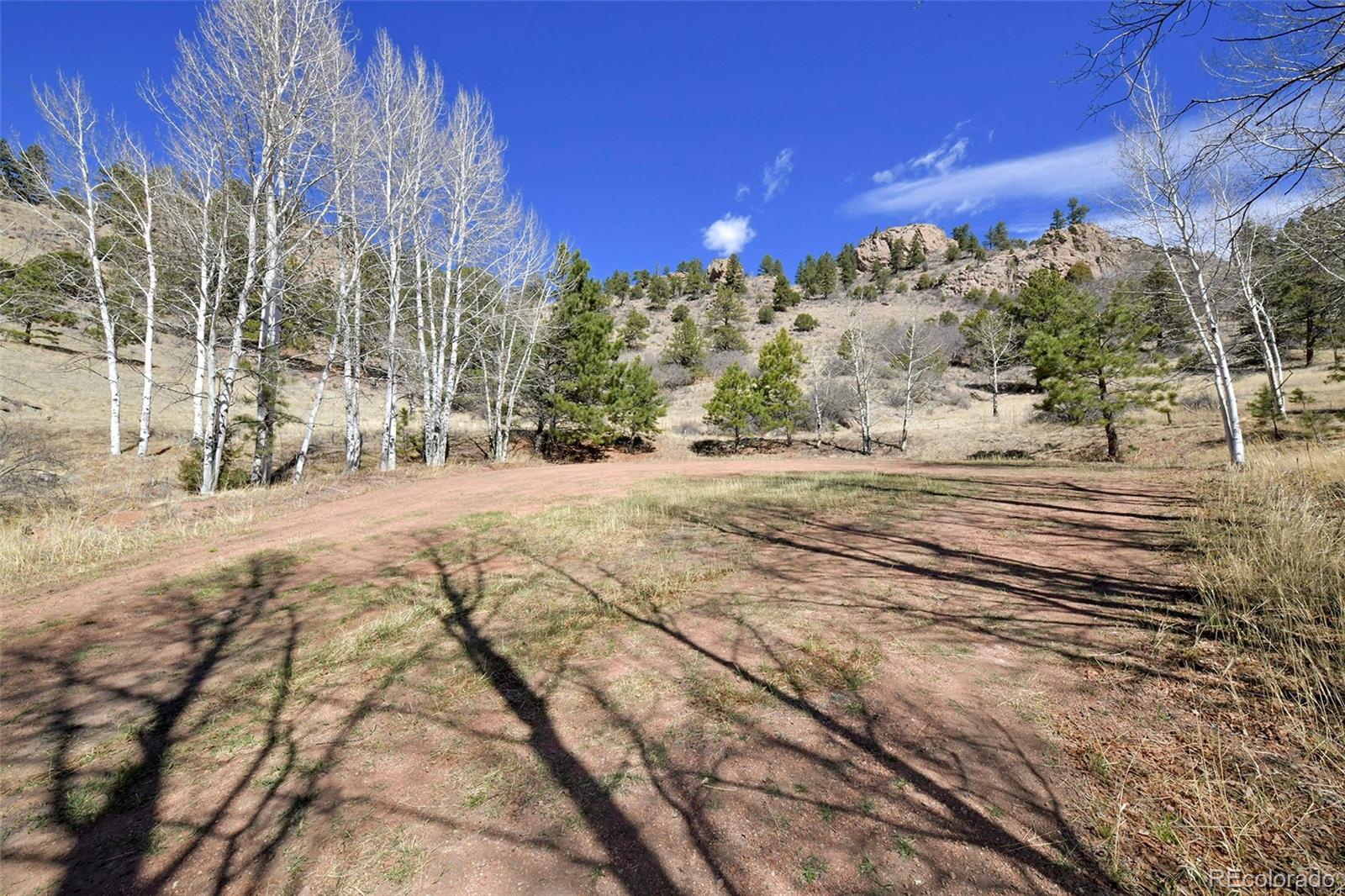 221 Floresta Florissant CO 80816