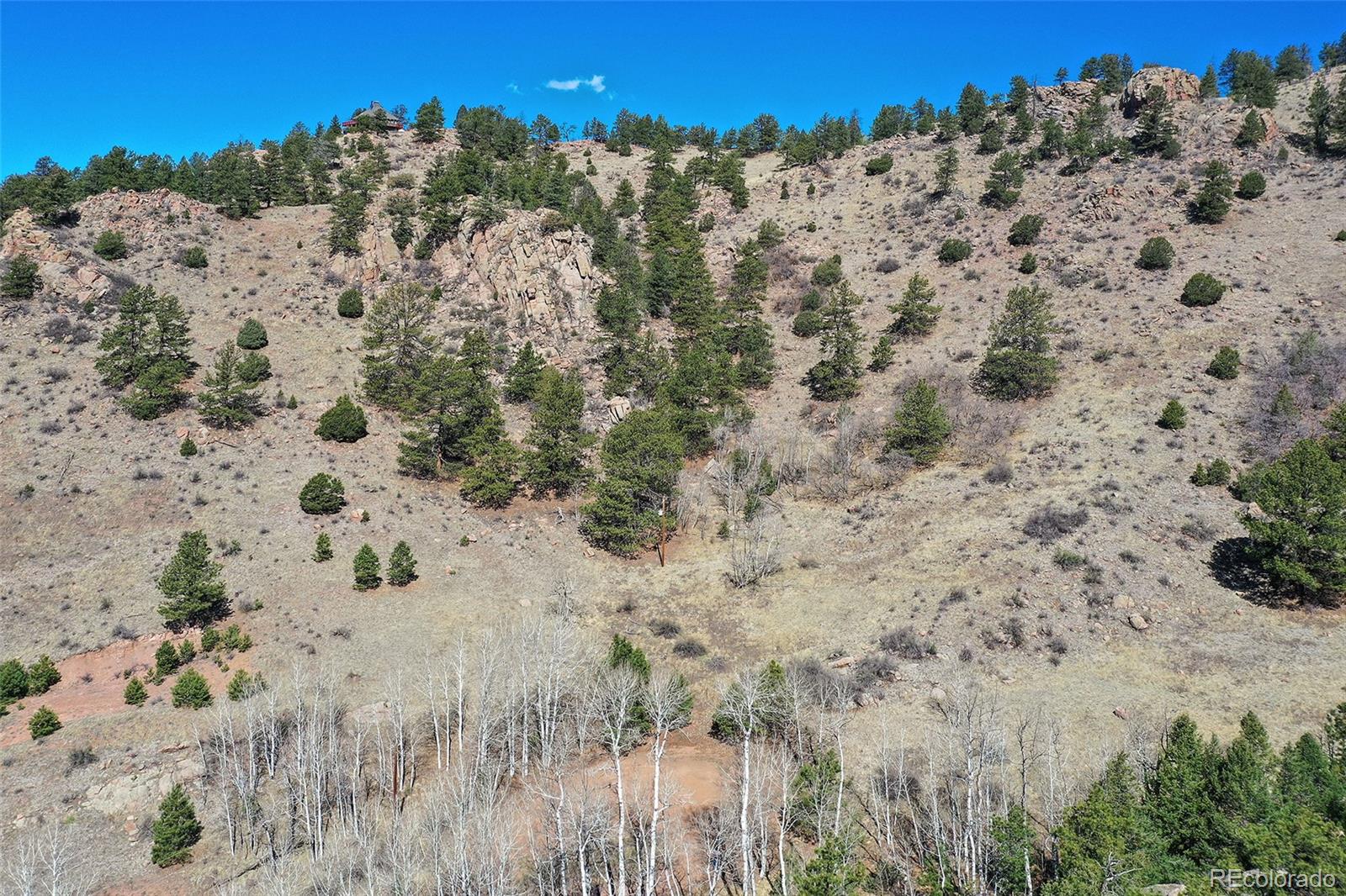 221 Floresta Florissant CO 80816