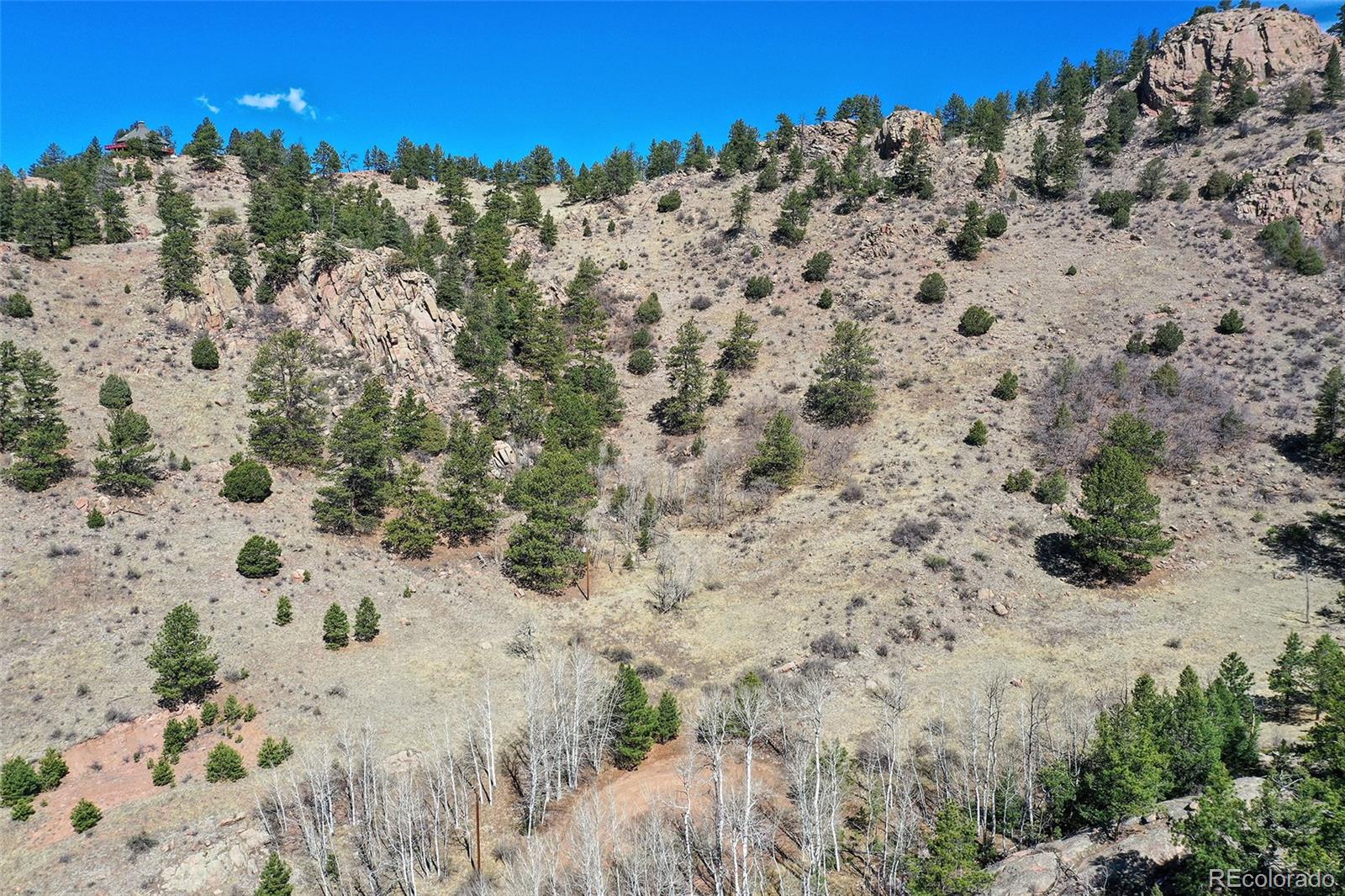 221 Floresta Florissant CO 80816