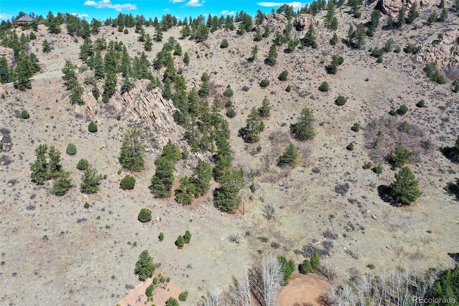 221 Floresta Florissant CO 80816