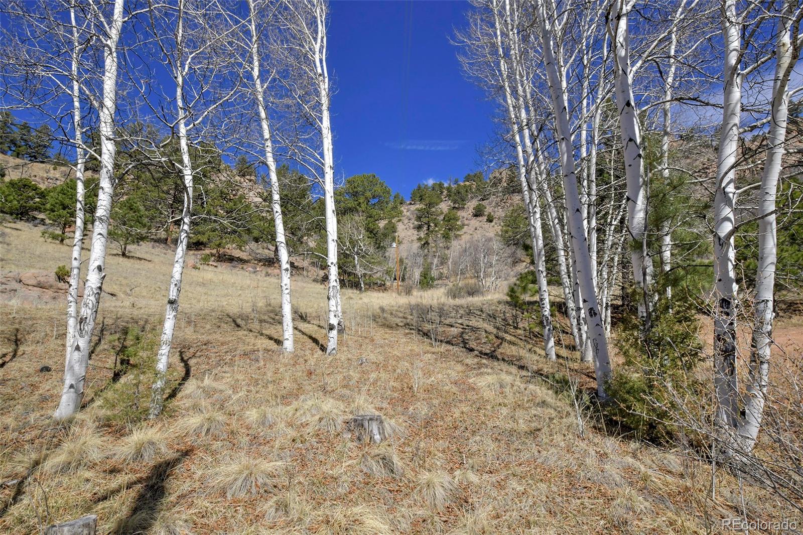221 Floresta Florissant CO 80816