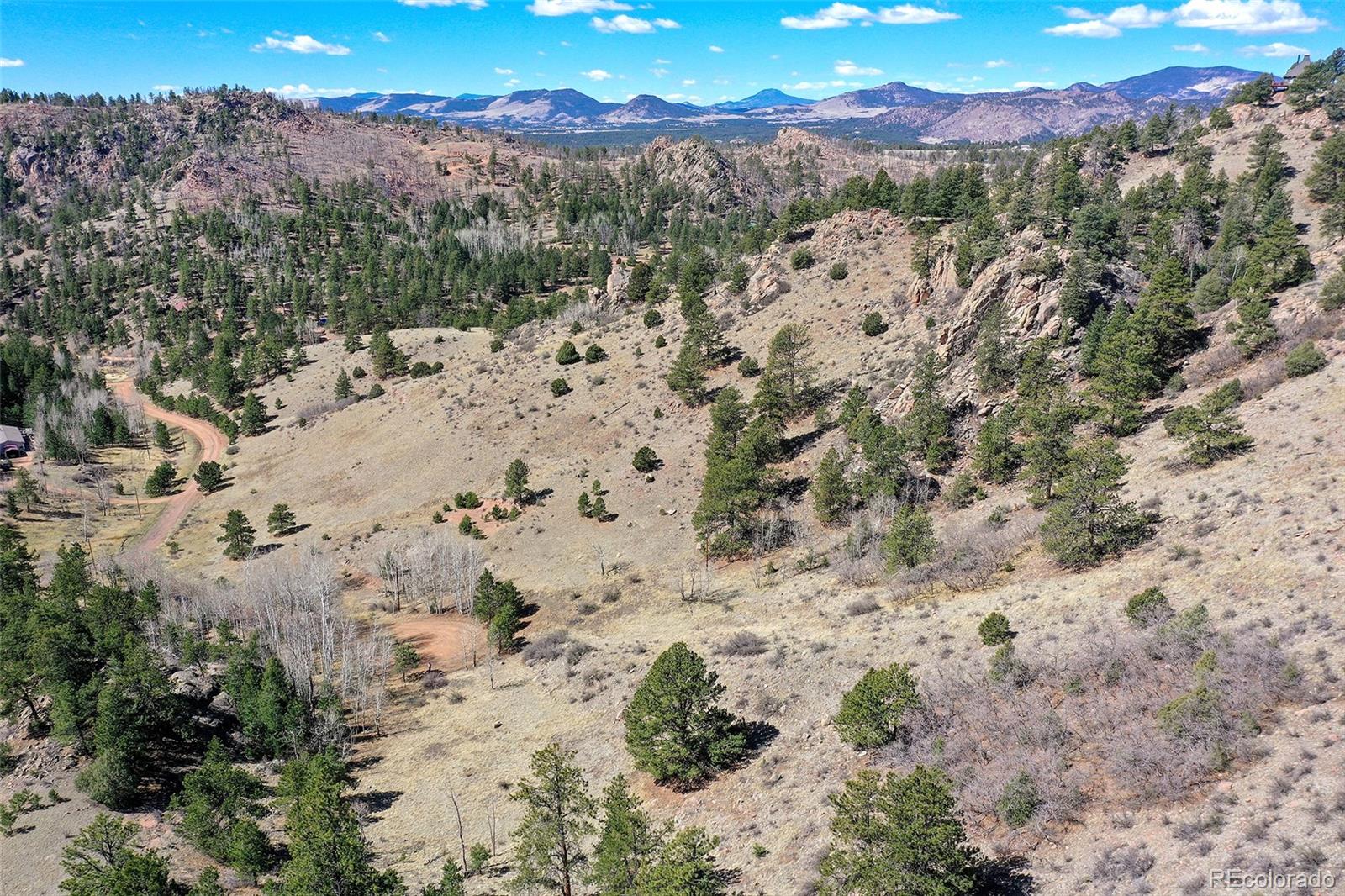 221 Floresta Florissant CO 80816