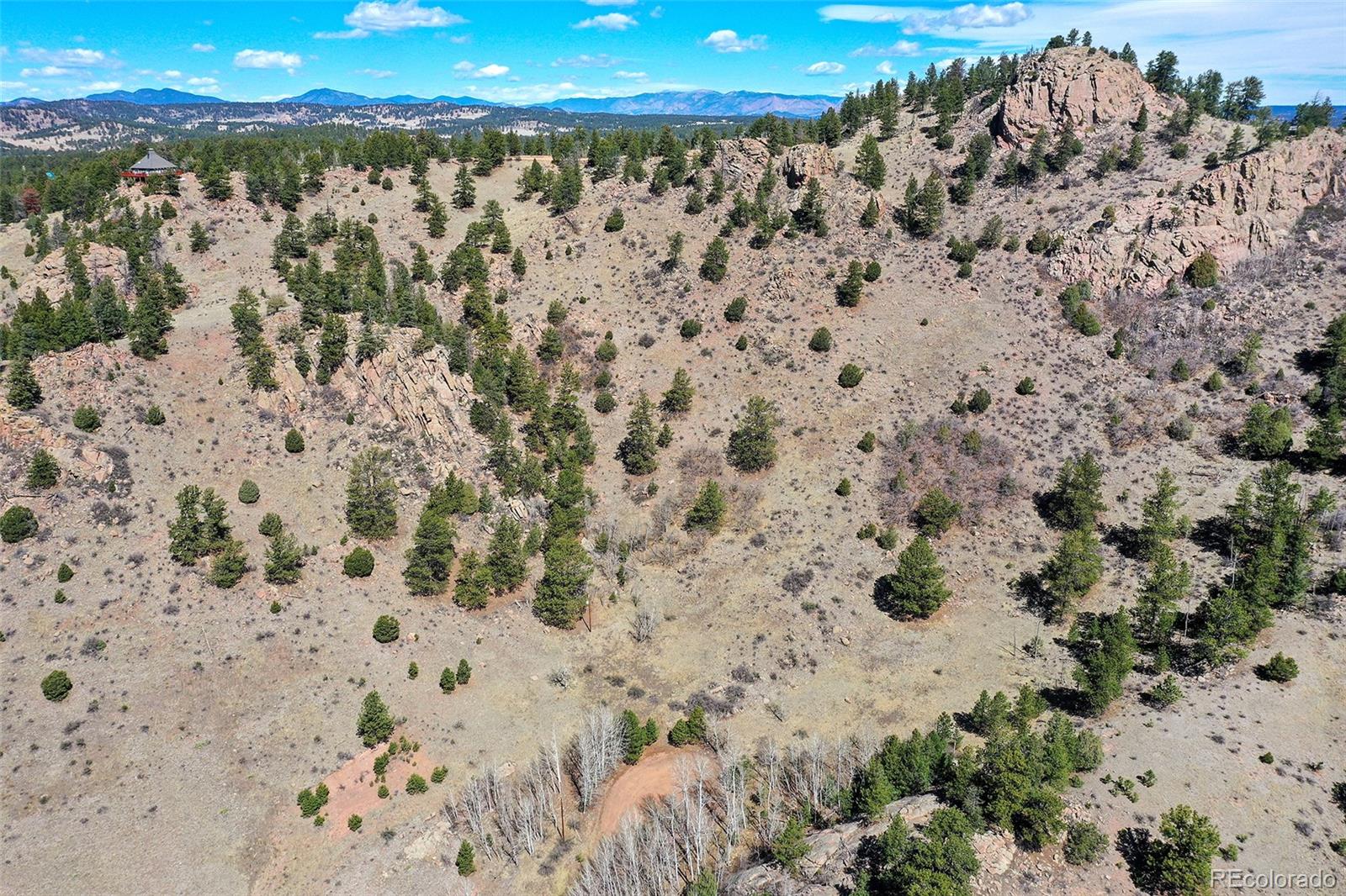 221 Floresta Florissant CO 80816