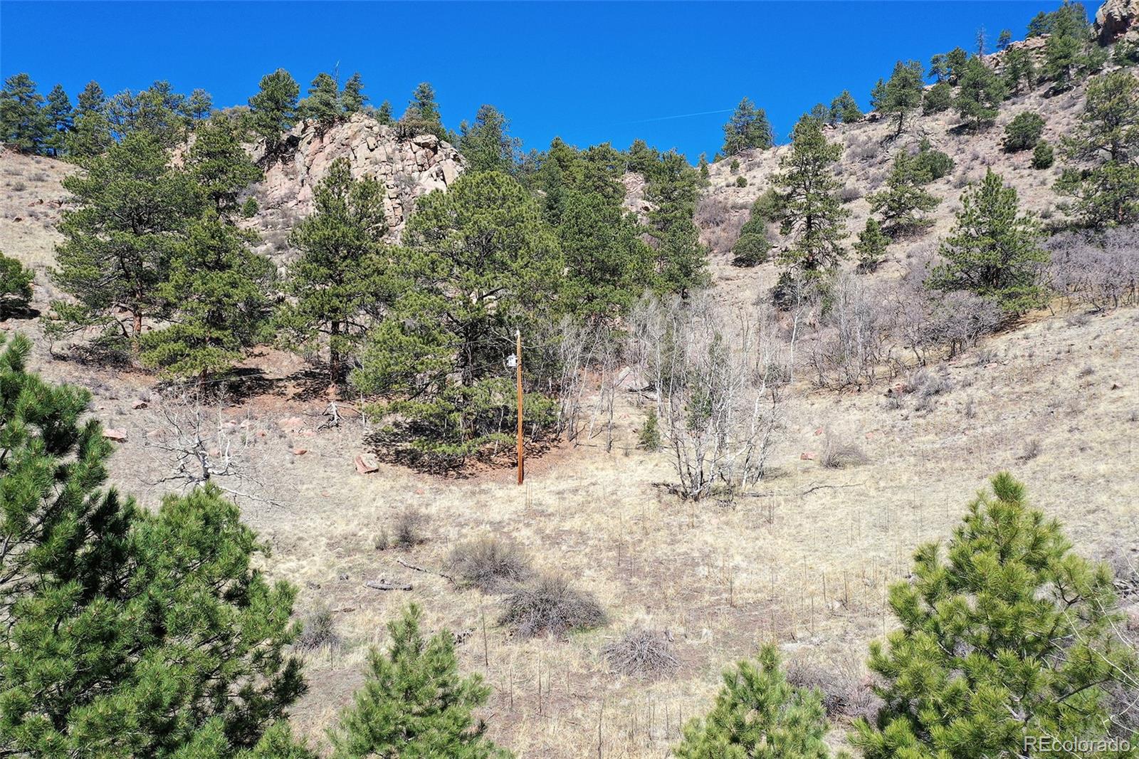 221 Floresta Florissant CO 80816
