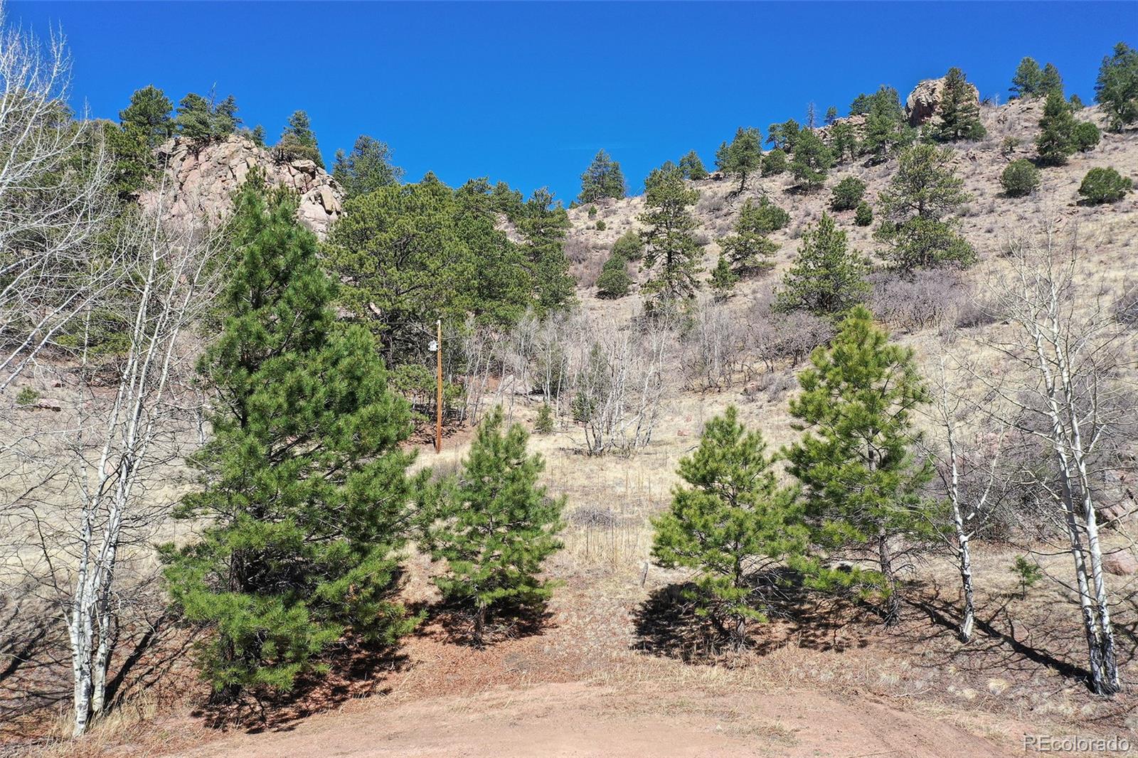 221 Floresta Florissant CO 80816