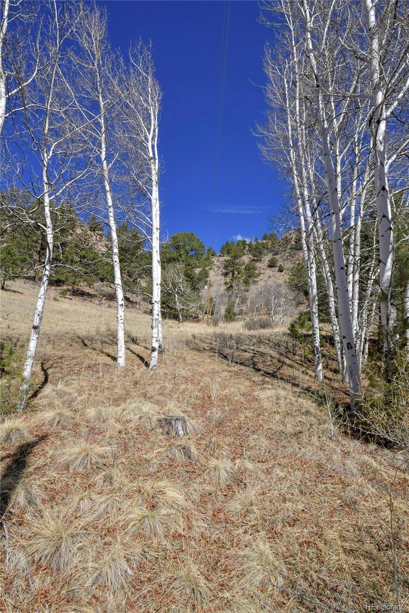 221 Floresta Florissant CO 80816